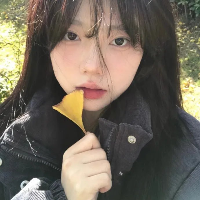 凌刑密密缝